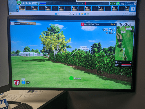 golf simulator software accurate